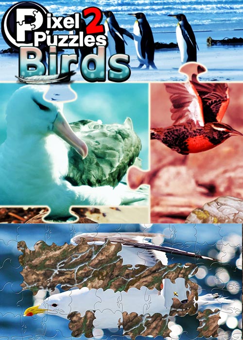 PIXEL PUZZLES 2 BIRDS Steam CD Key