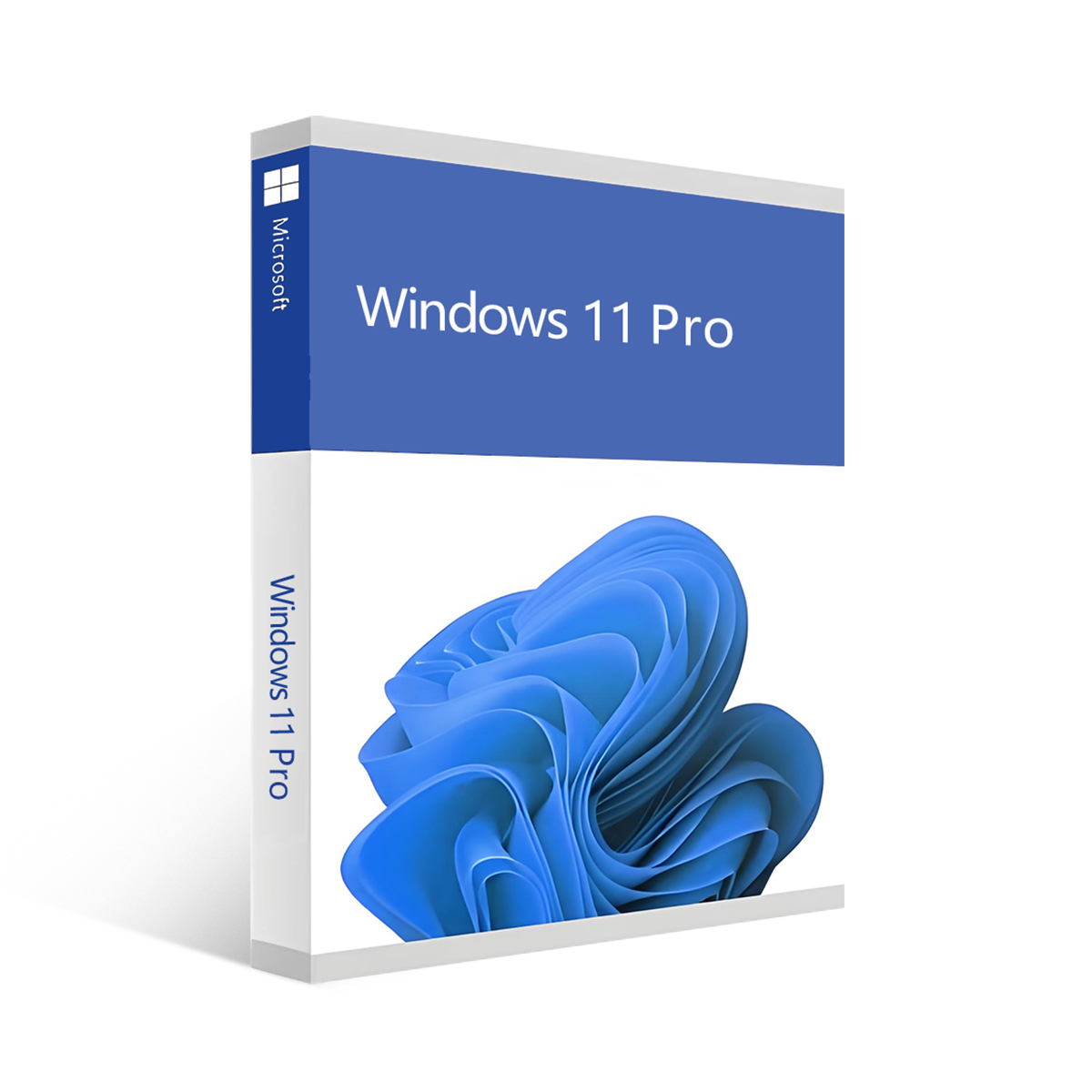 MS Windows 11 Pro OEM KEY GLOBAL