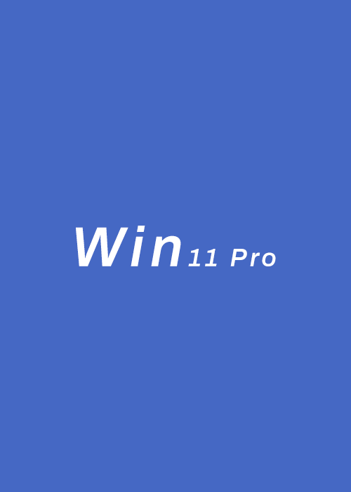 MS Win 11 Pro OEM Scan KEY GLOBAL